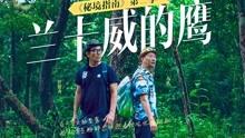 精灵嘉年华